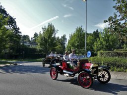 2019-Parel der Voorkempen-Bruno from Belgium